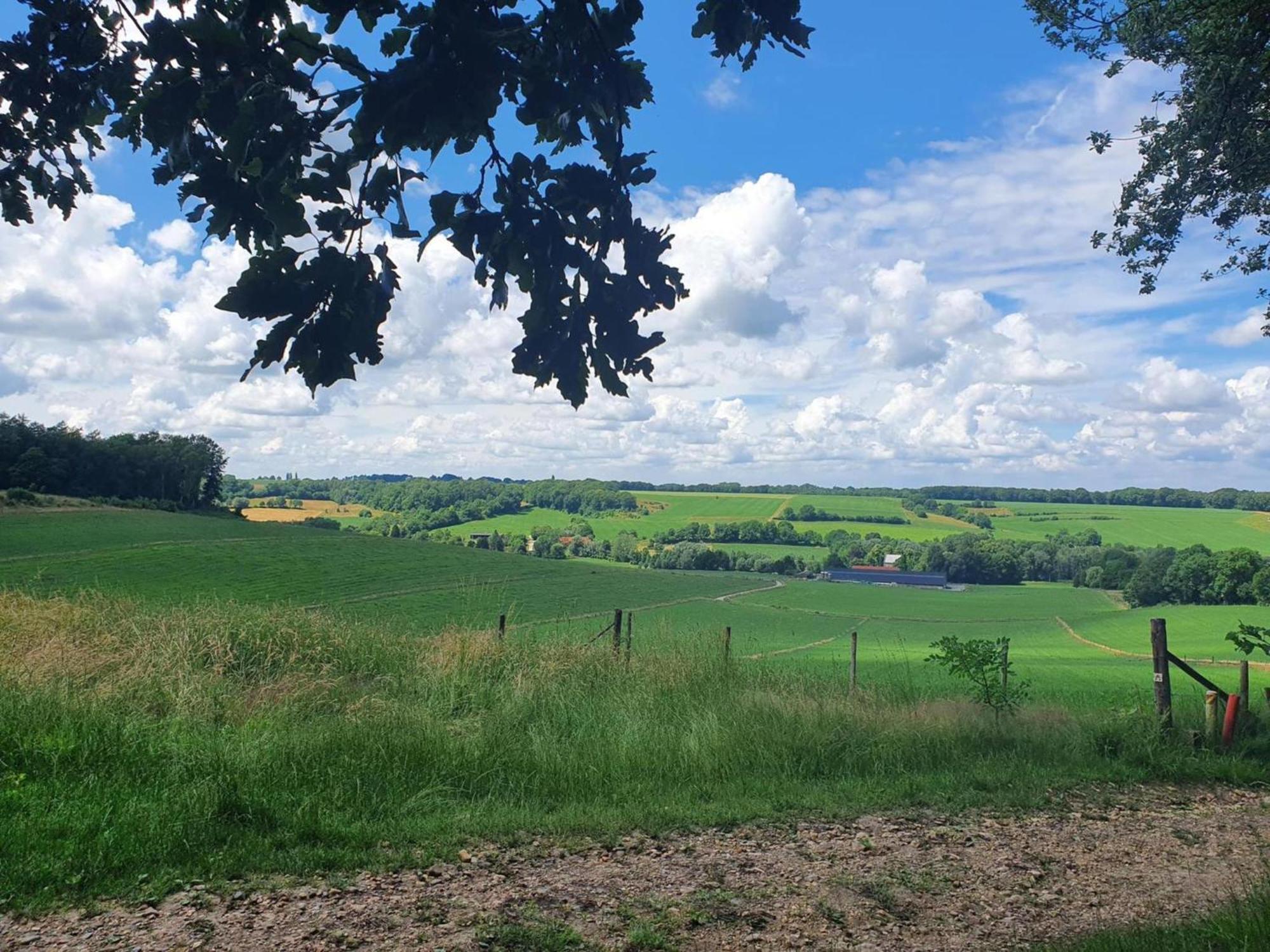 Landsraderhoefke - 4 Heijenrath エクステリア 写真